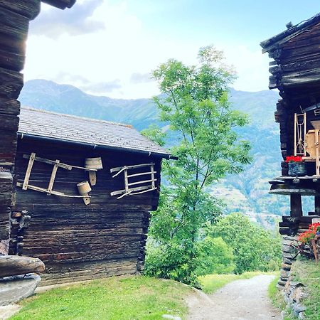 Alte Bock 2.0 Bed & Breakfast Grächen Екстериор снимка